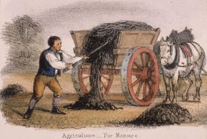 Mezőgazdaság, trágya számára, c1845