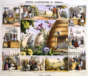 A méhecske, c1850