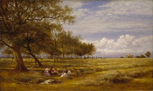 Egy angol Hayfield, 1878 alkotó: Benjamin Williams Leader