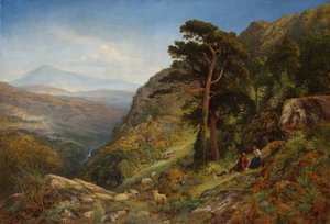 Betws-y-Coed feletti dombokon, Walesben
