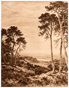 Naplemente eső után, 1903 alkotó: Benjamin Williams Leader