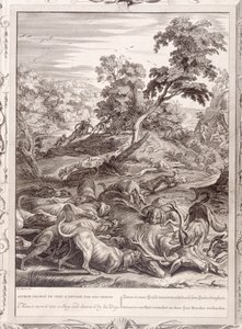 Actaeon szarvassá változott és felfalták a kutyái, 1731 alkotó: Bernard Picart
