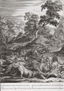 Actaeon szarvasbikává változott, és felfalták a kutyái, 1731 alkotó: Bernard Picart