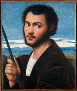 Egy férfi portréja par Licinio, Bernardino (kb. 1489-kb. 1565). Olaj, vászon, méret: 32x25,5, 16. század első fele, Fondazione Cini, Venezia