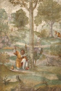 Kephalos elrejti az ékszereket alkotó: Bernardino Luini