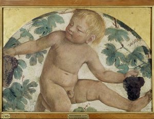 Betakarító putti – Puttó egy lugas alatt, 1514 körül (a fedélzeten hordott leválasztott freskó) alkotó: Bernardino Luini