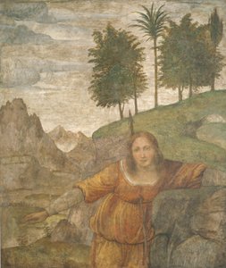 Prokrisz áttörte Cephalus gerelyével alkotó: Bernardino Luini