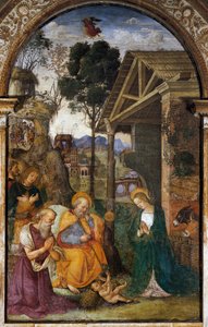 Születés Szent Jeromossal, az Il Pinturicchio néven ismert Bernardino Betti fiatalos freskója alkotó: Bernardino di Betto Pinturicchio