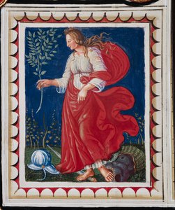 A Piccolomini könyvtár, a mennyezet, a béke allegóriájával ellátott panel, Bernardino di Betto, Pinturicchio néven ismert freskója.
