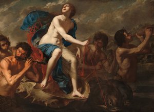 Galatea diadala, c. 1650.