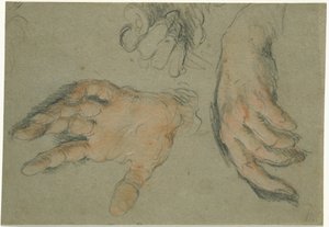 Study of Three Hands, 1625-30 (fekete-vörös kréta papíron) alkotó: Bernardo Strozzi