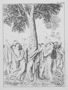 Dante Isteni komédiája, Purgatorio (Purgatórium), XXXIII. tábla (litográfia) alkotó: Bernhard Schuler