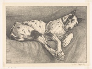 alvó kutya alkotó: Bertha van Hasselt (signed by artist)