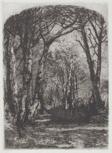 Woods [Bosco], 1895 körül.