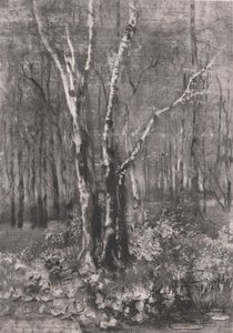 Erdők a parkban Monza mellett, 1895.