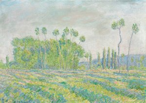 Franciául:  Giverny, Peupliers des Ajoux