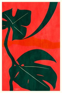 Monstera dzsungellevelek alkotó: Bo Anderson