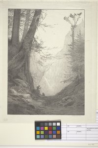 Nagy cédrusok (tinta papírra, litográfia)
