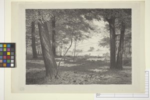 Edge Of The Woods (tinta papíron)