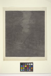 Moonlight Woods (tinta papíron)