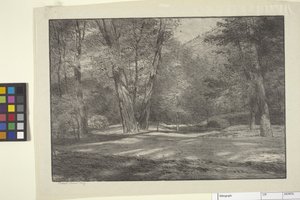 Sierra Woods (tinta papíron)