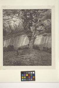 Vihar (tinta papíron)
