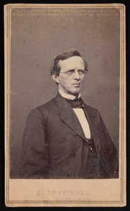 Lyman Trumbull portréja 1813-1896, 1864 és 1868 között. alkotó: Brady