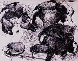 Borjak, nedves, újszülött, 1978 alkotó: Brenda Brin Booker