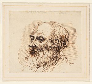 Head of a bearded man alkotó: British School