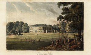 Szarvascsorda a Trentham Hall előtt alkotó: British School