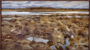 Curlews Madarak a mocsarakban. Bruno Andreas Liljefors (1860-1939) festménye 1913 V. 1,19x2,2 m alkotó: Bruno Andreas Liljefors