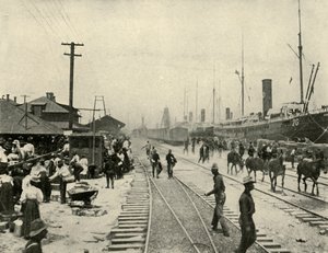 Elengedett rabok, spanyol-amerikai háború, 1898. június, 1899. alkotó: Burr McIntosh