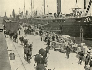 Csapathajók Port Tampában, Florida, USA, spanyol-amerikai háború, 1898. június 10., 1899.