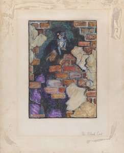 A fekete macska, Edgar Allan Poe „Rejtélyek válogatott meséihez”, 1909, 1909.