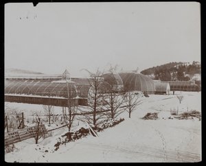 Üvegházak a hóban a Helen Gould birtokon (néhai Jay Gould rezidencia) Tarrytownban, New Yorkban, 1894 (ezüst zselatin nyomat) alkotó: Byron Company