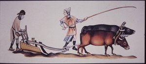 Ökörrel szántó középkori férfiak a Luttrell Zsoltár jelenetéből (színes litó)