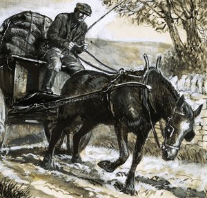 A lovak alultápláltak és túlhajszoltak voltak alkotó: C.L. Doughty