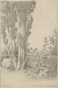 Nyárfák és vadon élő növények Hanauban alkotó: Christoffer Wilhelm Eckersberg