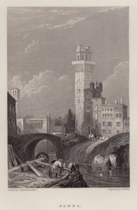 Padova (színes litó)
