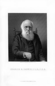 Charles Darwin brit természettudós, 1899.