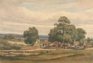 Emerey Down Lyndhurst közelében, New Forest, Hants alkotó: C. John M. Whichelo