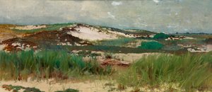 Nantucket homokdűne, kb. 1890. alkotó: C. Morgan McIlhenney