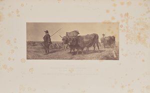 Visszatérés a munkából, írta R. Ansdell alkotó: Caldesi and Montecchi
