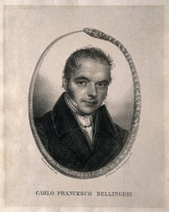 Carlo Francesco Bellingeri. Litográfia Camilla Gandolfi után, 1839. Életrajz olaszul
