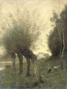 Táj Pollard Willows-szal