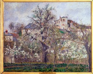 Tavaszi, szilvavirágok Pontoise-ban - olaj, vászon alkotó: Camille Jacob Pissarro