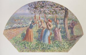 Rajzoló dizájn: Borsófogók, 1890 alkotó: Camille Pissarro