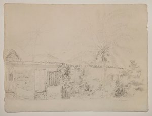 Házak és pálmafák alkotó: Camille Pissarro