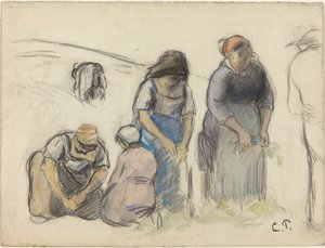 Borsóbetakarítók [recto] alkotó: Camille Pissarro