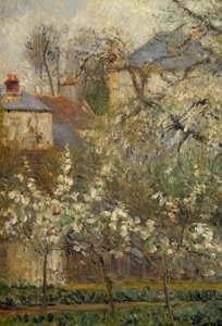 Veteményes kert és tavasszal virágzó fák Pontoise-ban alkotó: Camille Jacob Pissarro